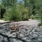 アパート L'escale Sud Gironde - Sejour En Amoureux Avec Jacuzzi Privatif - Piscine - Massage Traiteur & Brunch Possibles Pompejac