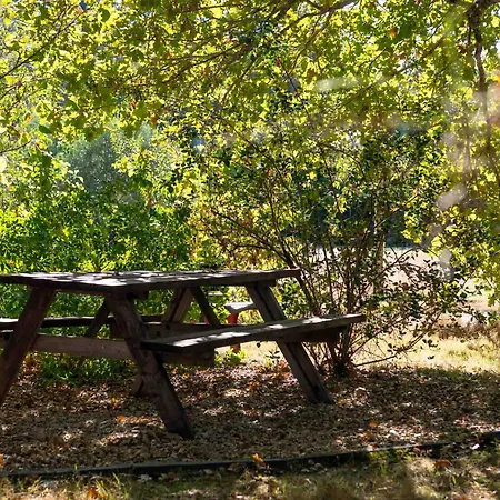 L'escale Sud Gironde - En Amoureux Avec Jacuzzi Privatif - Piscine - Massage Traiteur&brunch Possibles Pompejac